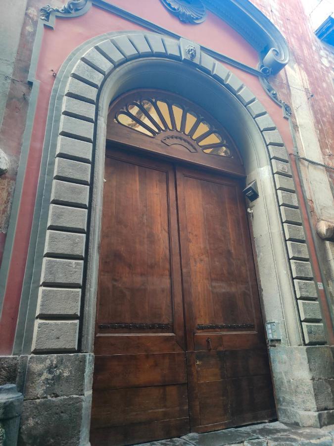 Albert's House Vakantiehuis